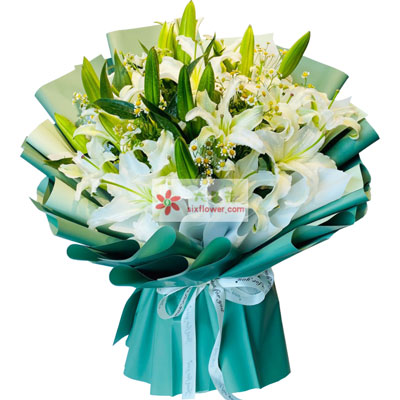 六安8支白色多头百合洋甘菊，如潮的思念